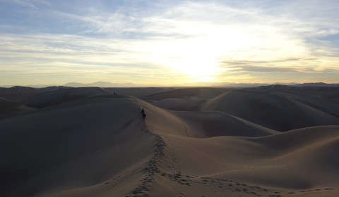 Abenddämmerung in der Wüste