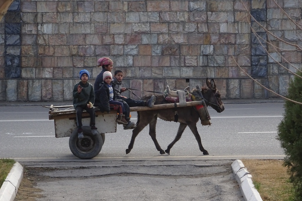 Pferdekutsche auf den Straßen Usbekistans
