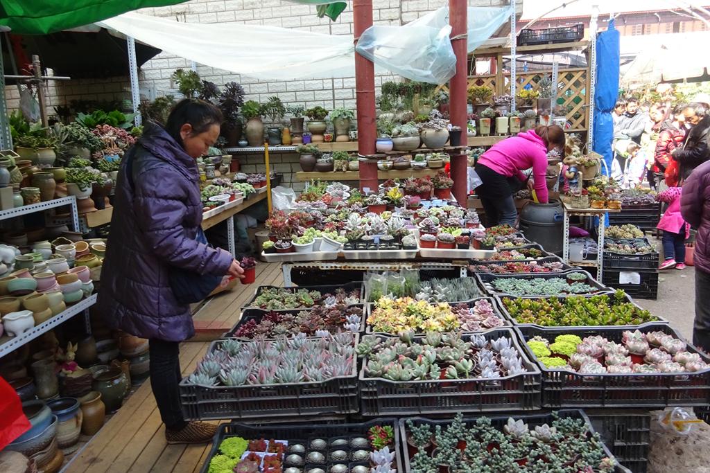 Blumenmarkt in Kunming