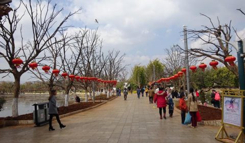 Park in Kunming