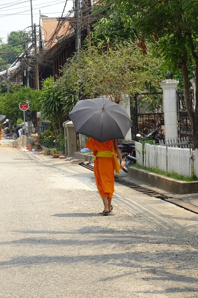 Mönch auf der Straße